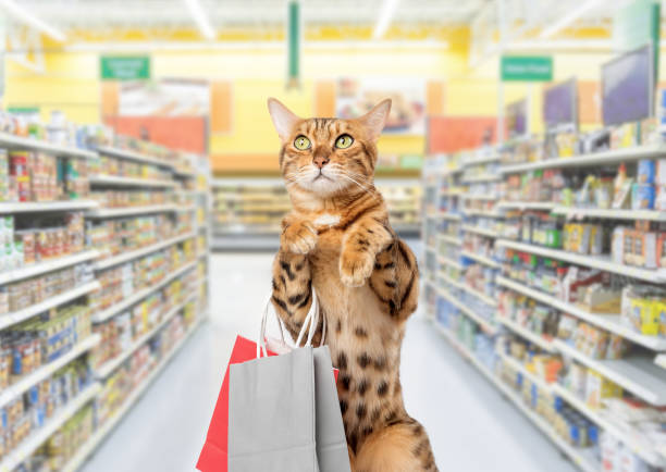 スーパーマーケットやペットショップの食品棚の前に買い物袋を持った猫。 - domestic cat bag shopping gift ストックフォトと画像