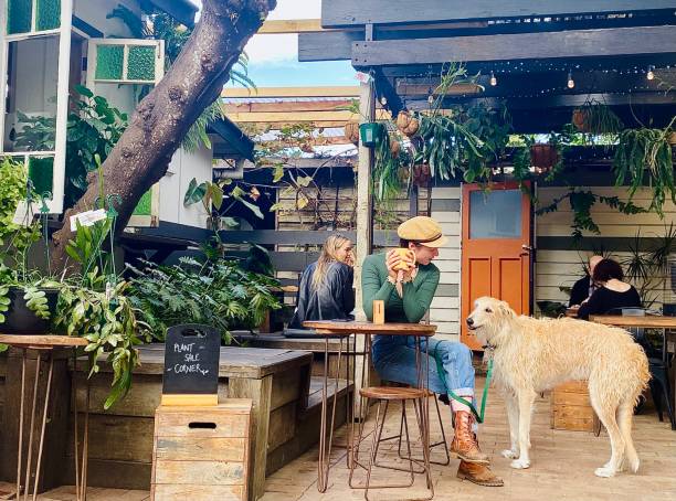 Outdoor Cafe with Dog stock photo