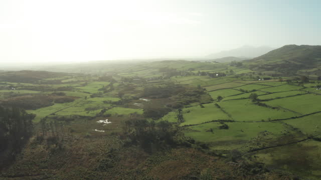 aerial view of countryside and forest, Northern Ireland