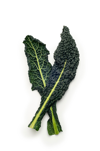 Vegetables: Cavolo Nero Isolated on White Background, high angle view, studio shot.