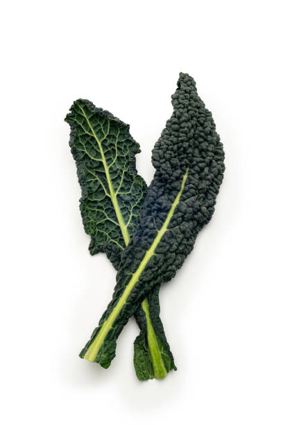 Vegetables: Cavolo Nero Isolated on White Background stock photo