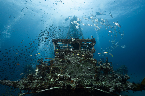 Underwater shot of HTMS Chang wreck ship with school of fish and scuba divers. The ship built for the US Navy during World War II. A scuba diving shipwreck dive site near Koh Chang in Trat, Thailand.