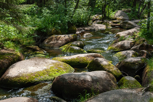 walking along the river