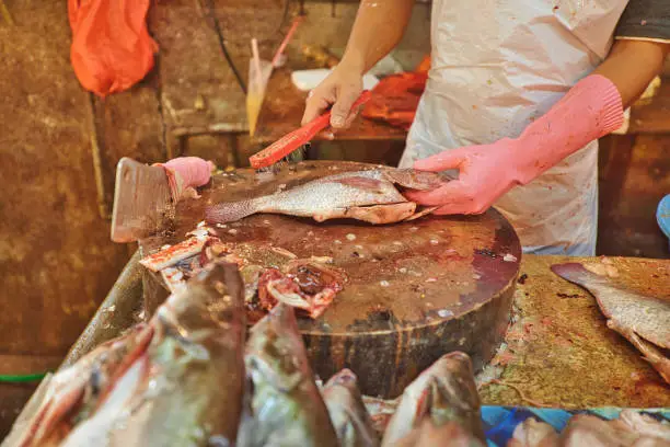 Photo of fishes of Chow Kit Market of Kuala Lumpur