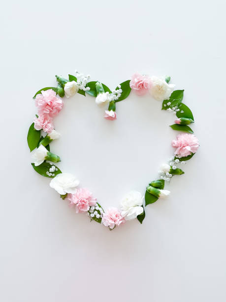istock Frame in form of heart from pink, white carnations 1474085769