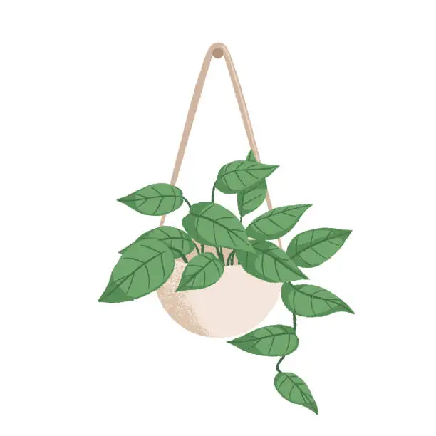 Vector illustration of Hanging Plant in a White Pot