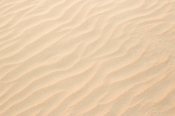istock Sandy sea on the beach. Wave sand texture 1474089260