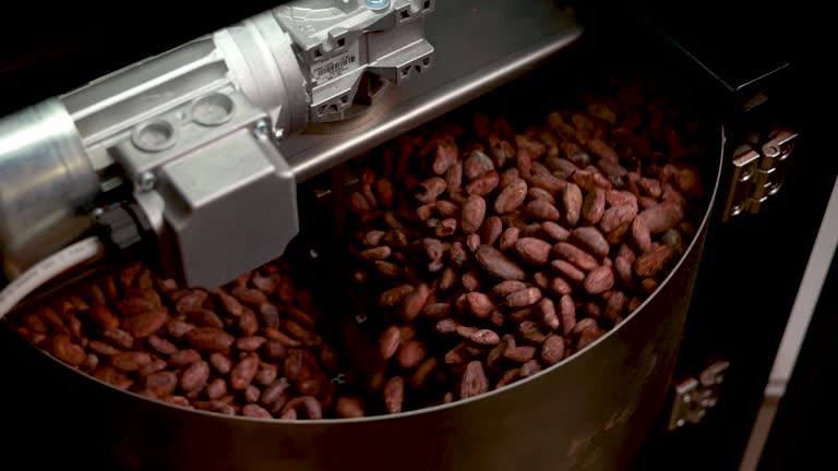 sorting and roasting cocoa beans