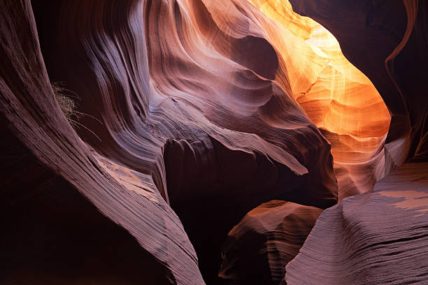 istock Water Holes Slot Canyon 147409023