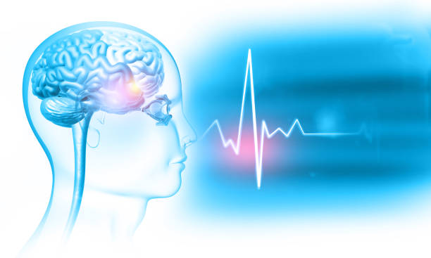 istock Human head anatomy on medical background 1474092268