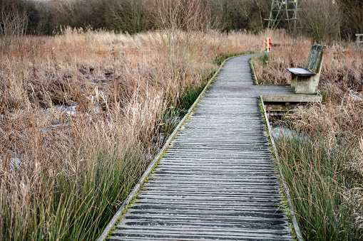 Riverside Nature Reserve, Near Stoke Lock  wooden footbridge  Guildford Surrey England Europe