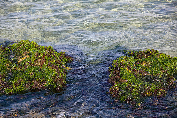 Riva del mare - foto stock