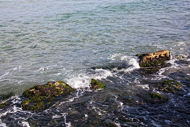 Riva del mare - foto stock