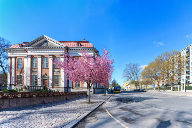 Turku, Finland - May 8, 2022: Next to the old library building, the cherry trees are blooming. The town is quiet on a Sunday morning before all stores open.