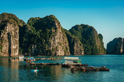 Floating fishing village and rock island in Halong Bay, Vietnam, Southeast Asia. UNESCO World Heritage Site. Popular landmark, famous destination of Vietnam