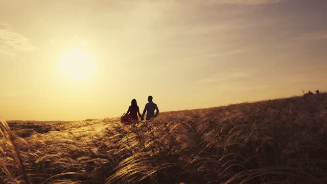 Young beautiful couple hugging while standing on a beautiful field. The concept of relationships with loving partners likes to spend time together.