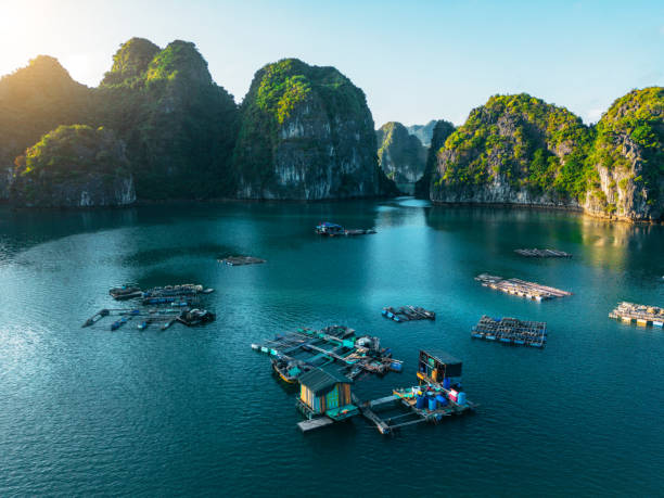 istock Drone view over Ha Long Bay in north Vietnam during sunset 1474101094