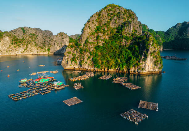 istock Drone view over Ha Long Bay in north Vietnam during sunset 1474101113