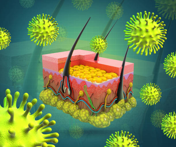 istock Viral skin infections. 3d illustration 1474101419