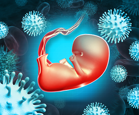 Virus infected human fetus on scientific background. 3d illustration
