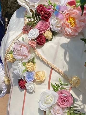 France - Annecy - detail of a costume for venitian carnival