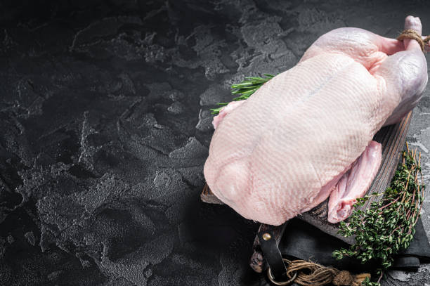 istock Fresh Raw whole duck with herbs and spices. Black background. Top view. Copy space 1474104580