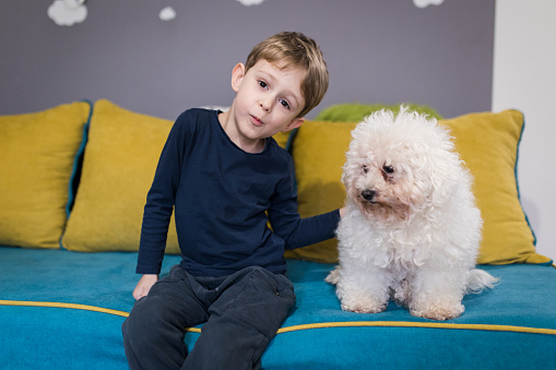 Little toddler child, boy, sitting in bed with pet dog