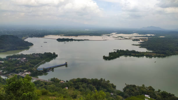 istock Elephant Mungkur reservoir 1474106041