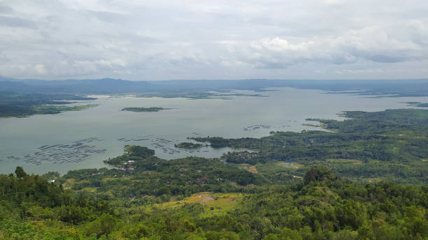 istock Elephant Mungkur reservoir 1474106053
