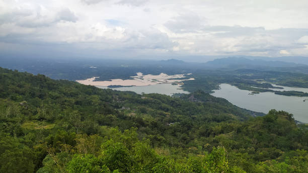 Elephant Mungkur reservoir