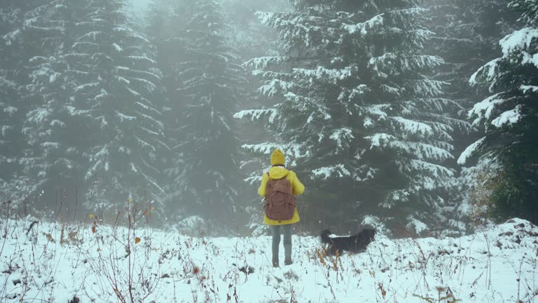 Woman backpacker in yellow wear walking in winter fir forest. Spruce trees in mysterious haze, snowy frosty and misty landscape scene