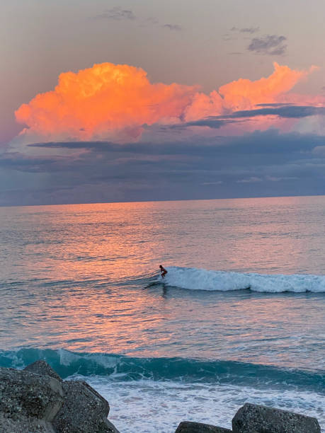 Surfer on the waves of Bondi Beach, Sydney during a beautiful sunset