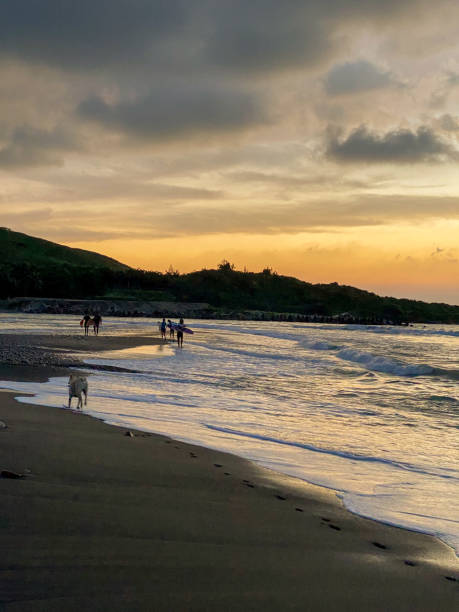 Surfers finish their practice and take a break ashore with their surfboards at dusk