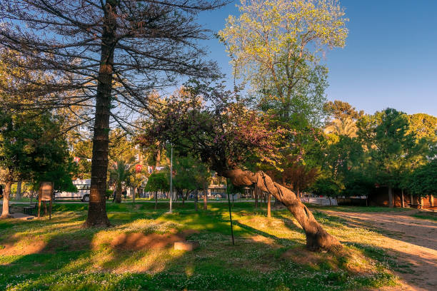 istock Park in Antalya illuminated by the sun 1474112570