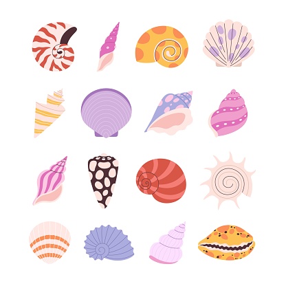 Seashell, oyster, clam set. Cartoon seashells and starfish, ocean underwater coral elements. Isolated sea beach nature racy vector symbols of seashell beach design collection illustration
