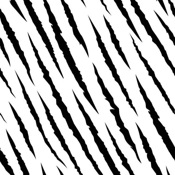 Vector illustration of Zebra seamless pattern. Wildlife scratch claws texture. Wild animal scratched fabric print, tiger in jungle. Black striped fashion racy vector background