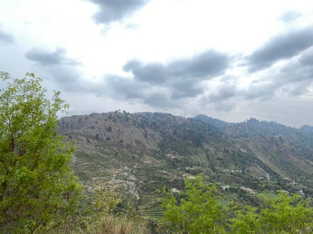 istock Green village environment 1474115019