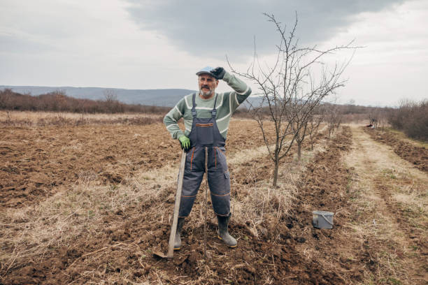 istock Planting a fruit tree outdoors 1474120701