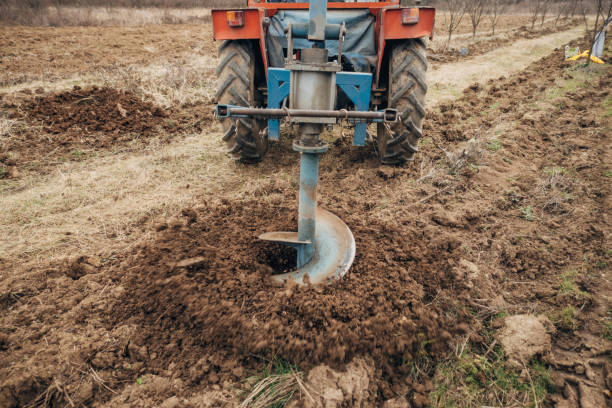 istock Planting fruit trees outdoors 1474120823