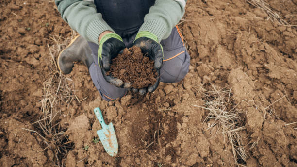 A sample of agricultural land in the hands of a farmer A sample of agricultural land in the hands of a farmer soil health stock pictures, royalty-free photos & images