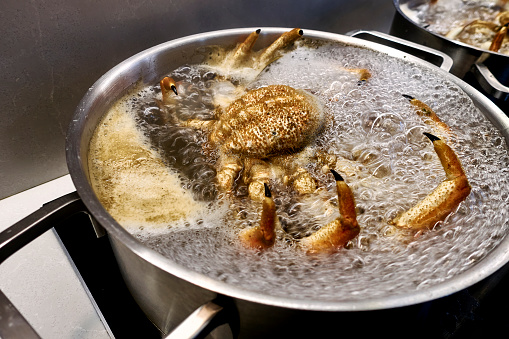 Bubbles in a steel pot while cooking a spider crab in boiling water.