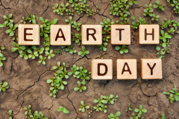 Cracked soil plants letter block toy cube wood text Earth day on dry ground plant sprout. Crack earth word block wooden cubes on cracked ground plant. Environment day on dry earth plant soil dry dirt plantas de suelo agrietado letra bloque juguete cubo madera texto día de la tierra en tierra seca brote de planta. día del medio ambiente en tierra seca suelo de planta tierra seca. romper cubos de madera de bloque de palabras de tierra en planta de tier