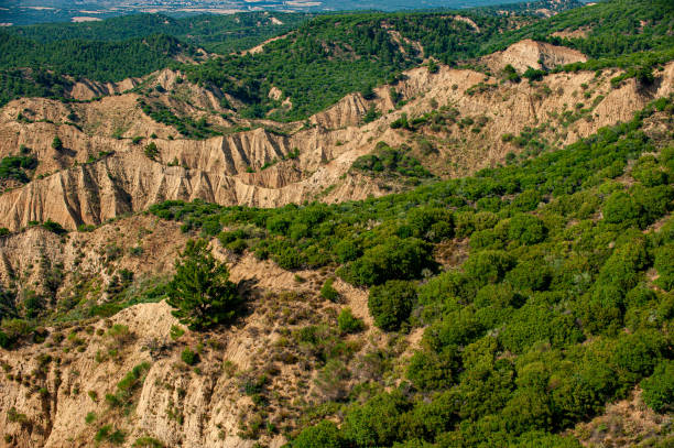 Ariburnu cliffs and the bushes on it
