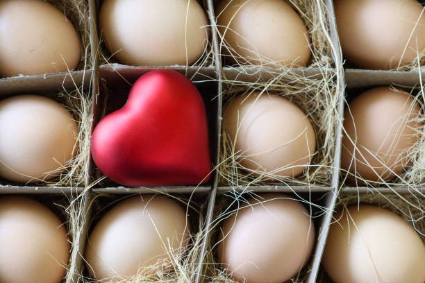 Stock photo showing close-up, elevated view of batch of brown eggs surrounding a red heart shaped model in a brown cardboard tray with compartments lined with hay on a mottled green background. Healthy eating concept. imagen de fotograma completo del modelo corazón rojo en cartón marrón cartón de huevos, cuadrado, embalaje seccionado de cartón de huevos marrones para la venta en el mercado de productos agrícolas, compartimentos forrados con heno, vista elevada