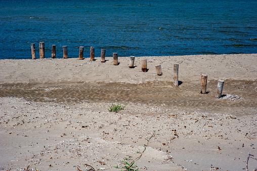 Wooden poles and birds in Hadson river, Manhattan, New York