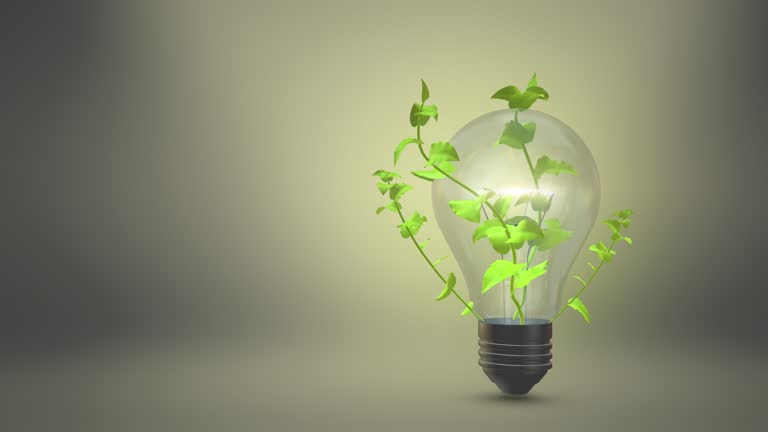 The light bulb and green branch with leaves, eco friendly power source