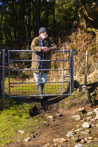 Bearded man in his 70s stopping on a Winter walk to rest by a field gate.