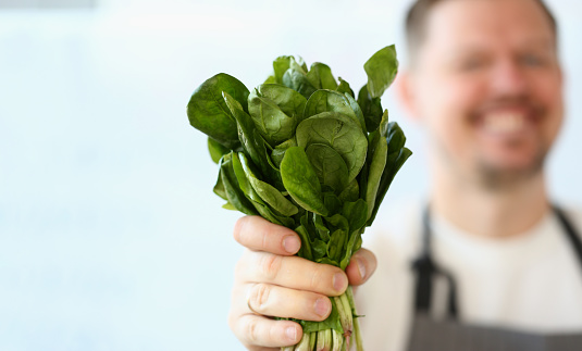 Cook holds green healthy fresh sorrel salad. Minimum calories maximum benefit and benefits of leafy vegetables and herbs