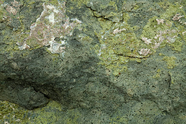 istock Texture on the surface of rock 147413356
