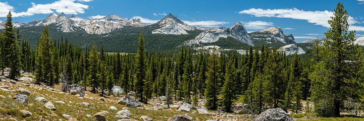 Yosemite Mountains Range with Cathedral Peak in the Center in summer